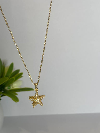 Pearl Clam Shell Necklace