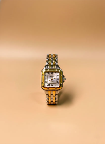 Luxury Two-Tone Steel Watch